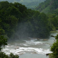 P1000589.JPG